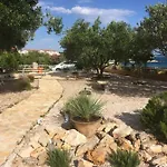 Galeb