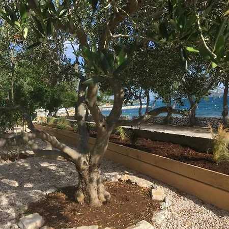 Galeb Apartment Vodice