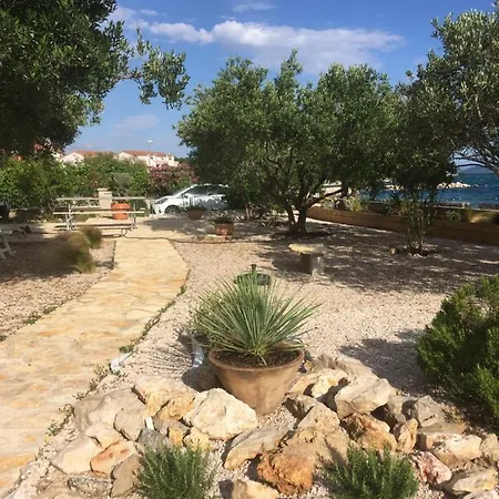 Galeb