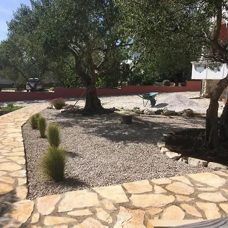 Galeb Apartment *