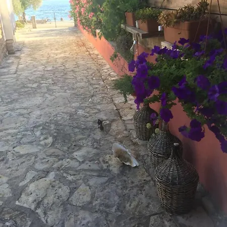 Apartment Galeb Vodice