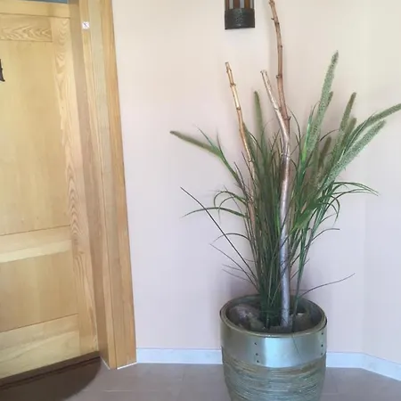 Apartment Galeb *