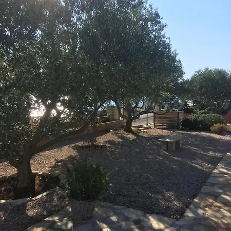 Galeb Apartment *