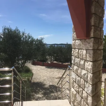 Galeb