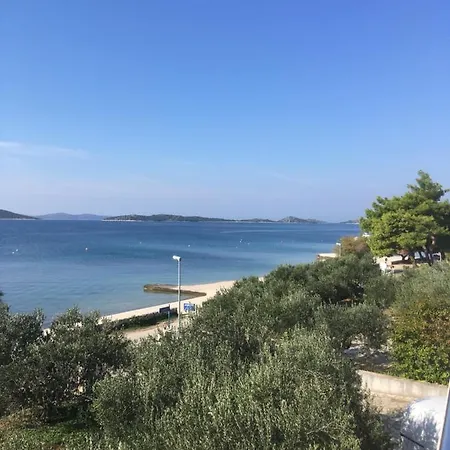Galeb