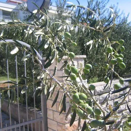 Galeb Apartment