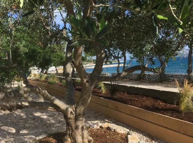 Galeb Apartamento Vodice