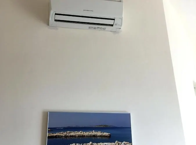 Galeb * ヴォディツェ